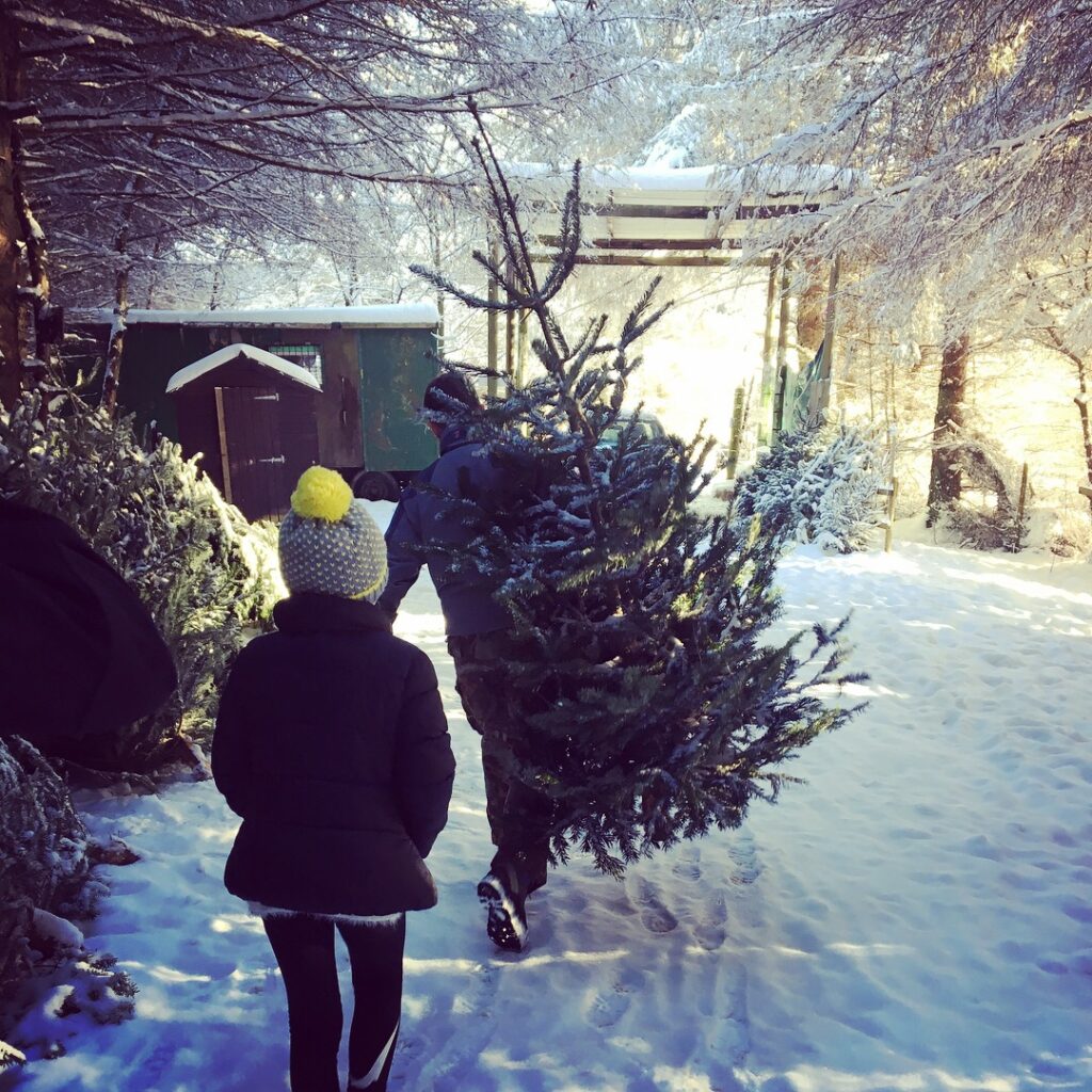 Carrying out a beautiful tree with Daughter