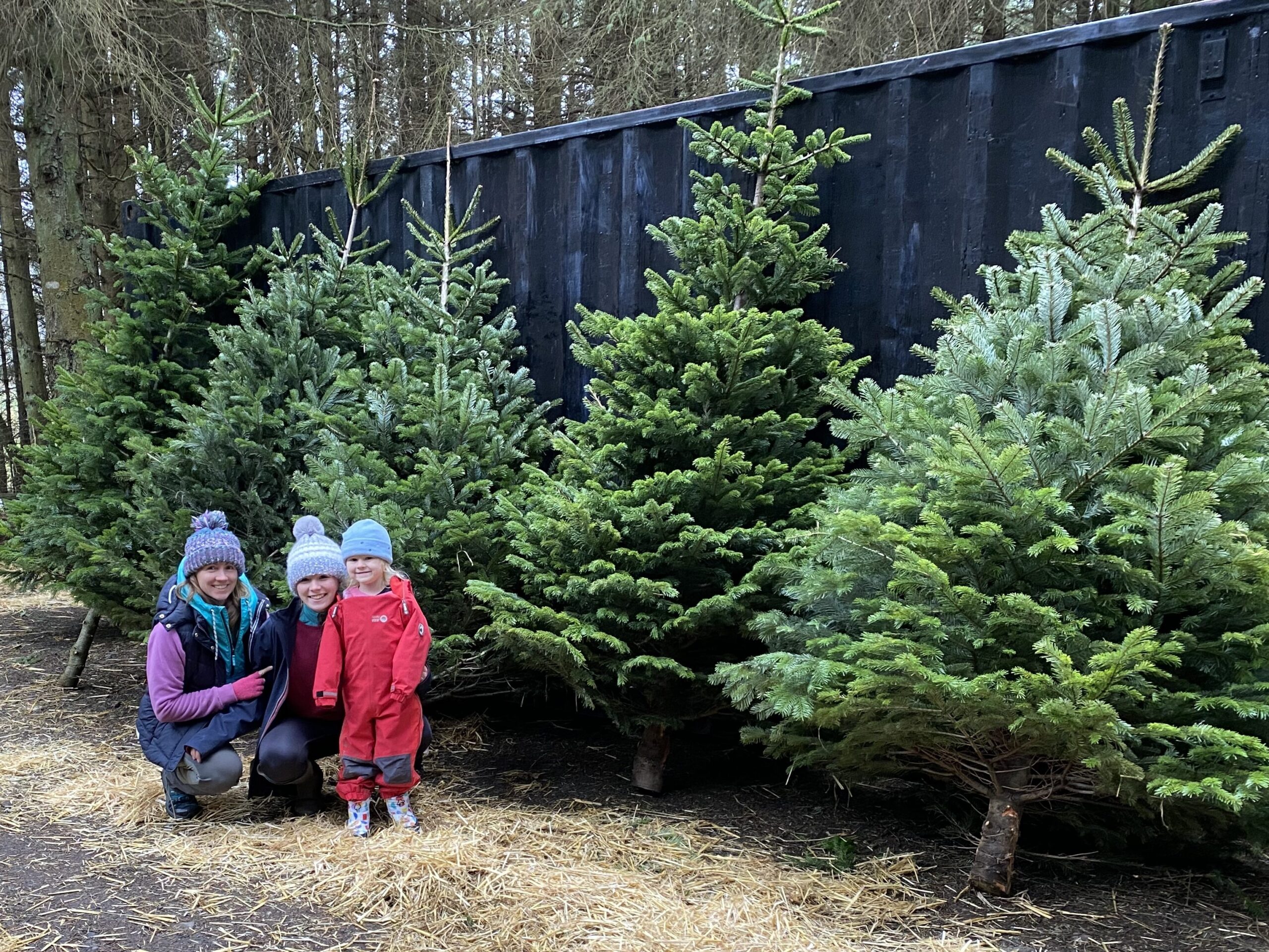 Family at the tree site