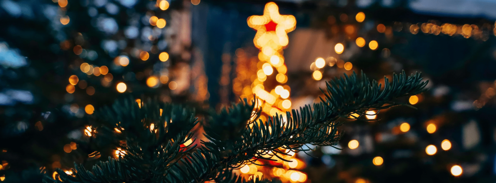 Holly Jolly Christmas tree banner